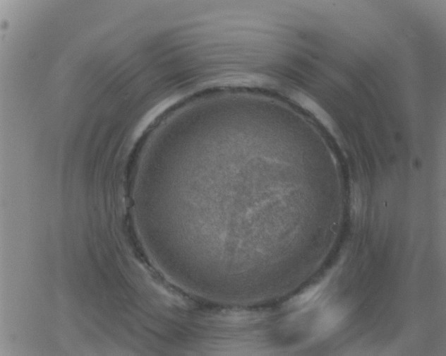 X0000063530829200601271859