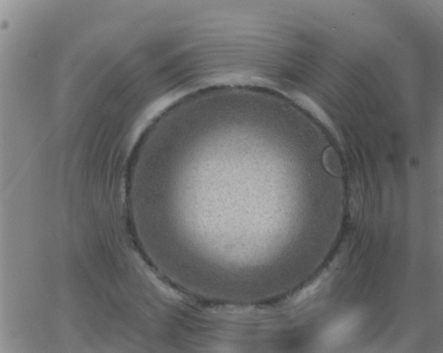 X0000063530831200601271859