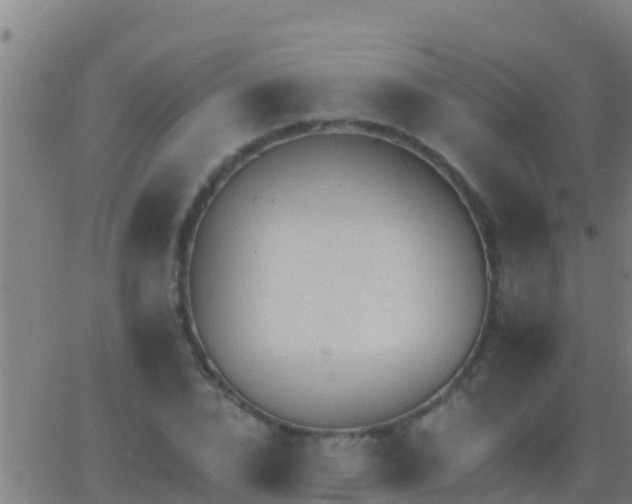 X0000063530832200601271859