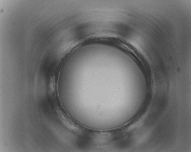 X0000063530833200601271859