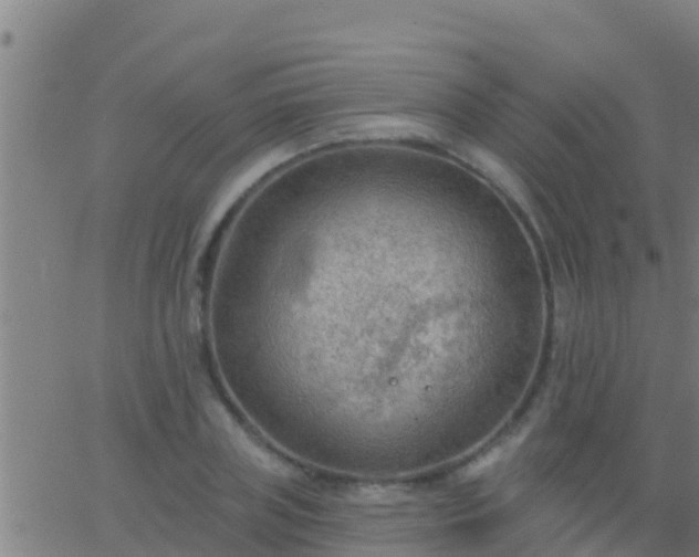 X0000063530835200601271859