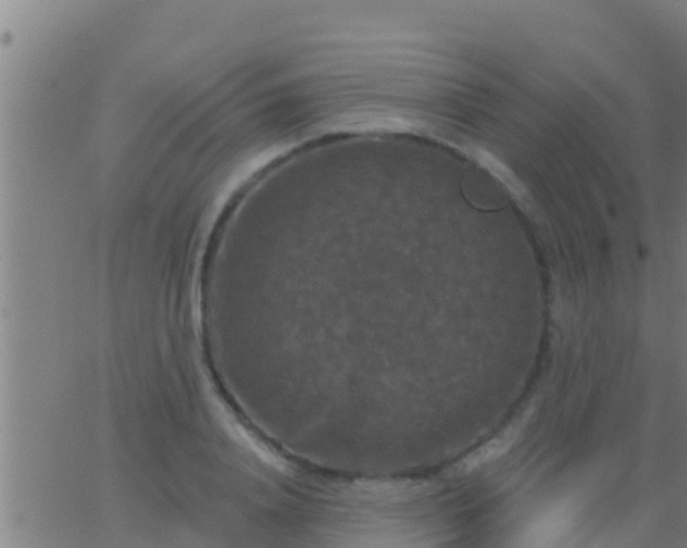 X0000063530840200601271859