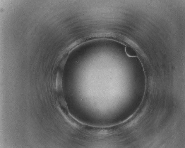 X0000063530841200601271859