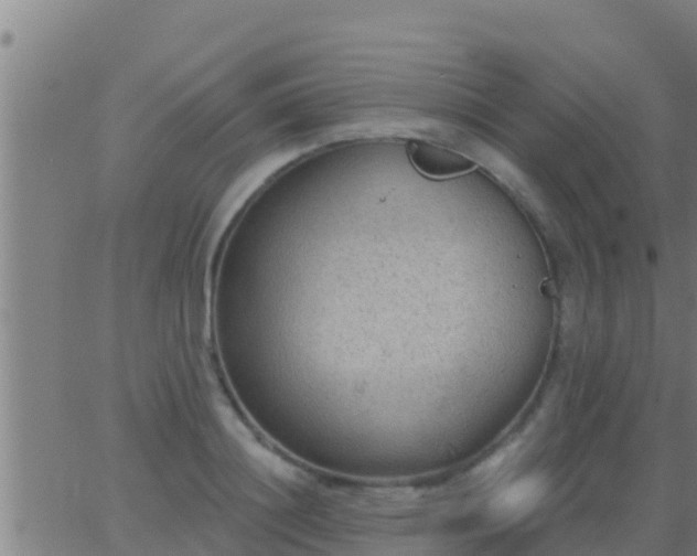 X0000063530844200601271859