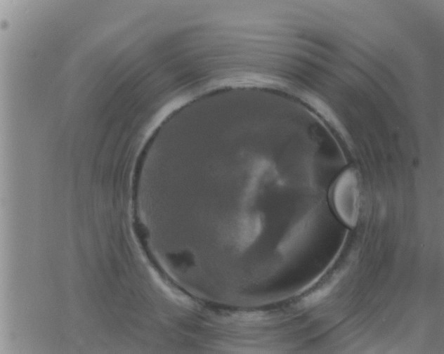 X0000063530845200601271859