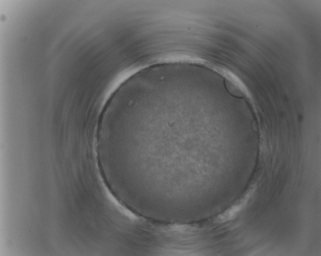 X0000063530847200601271859