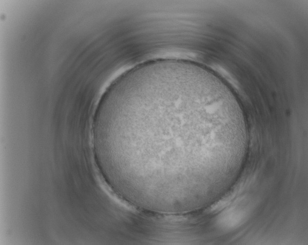 X0000063530848200601271859