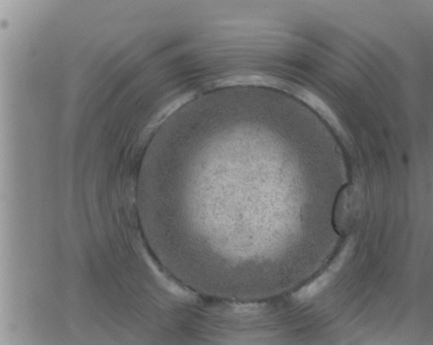 X0000063530849200601271859