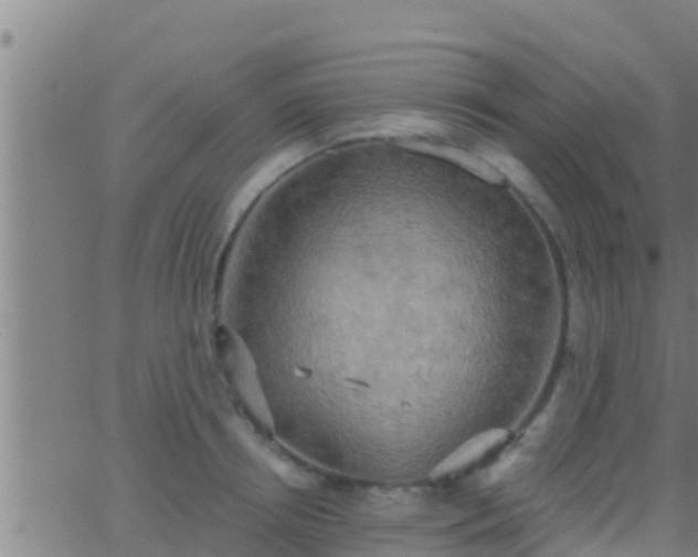 X0000063530850200601271859