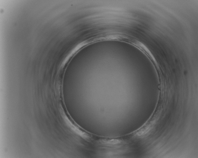 X0000063530851200601271859