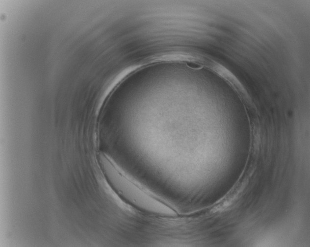 X0000063530852200601271859