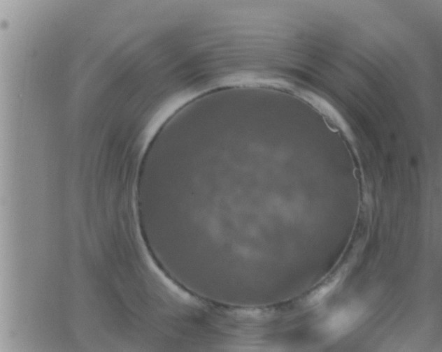 X0000063530855200601271859