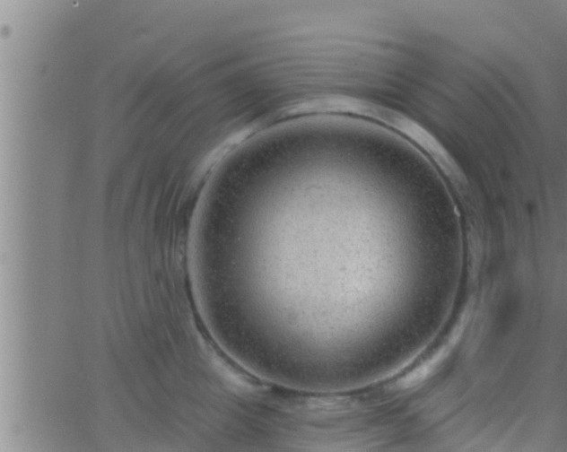 X0000063530857200601271859