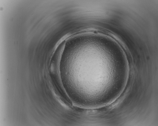 X0000063530858200601271859