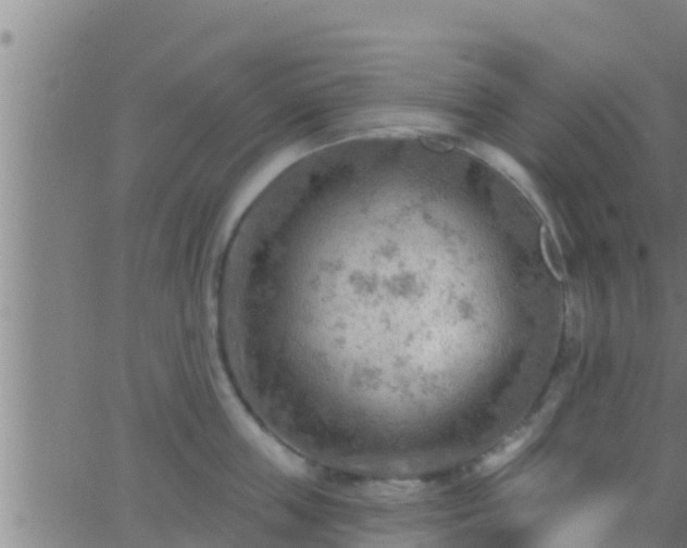 X0000063530859200601271859