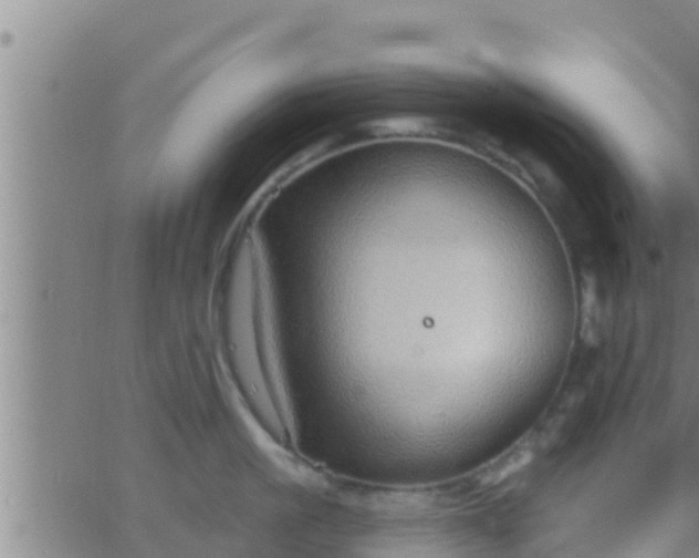 X0000063530861200601271859