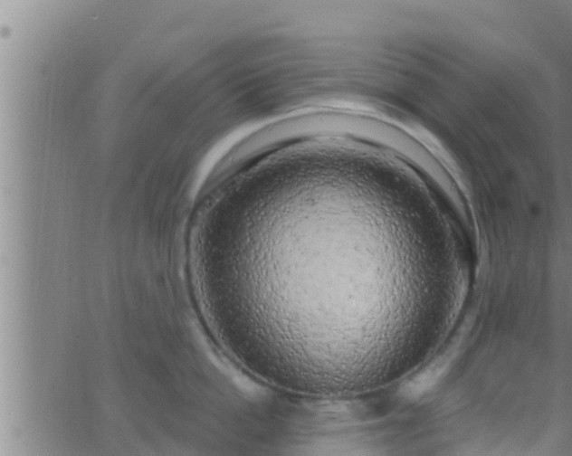 X0000063530862200601271859