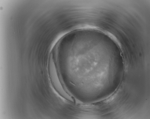 X0000063530863200601271859