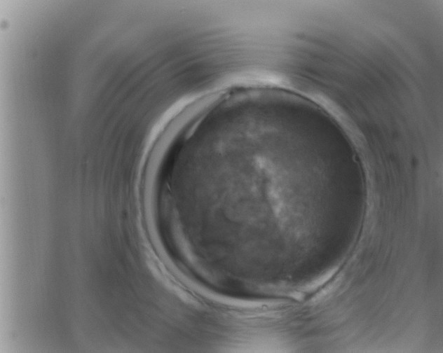 X0000063530864200601271859