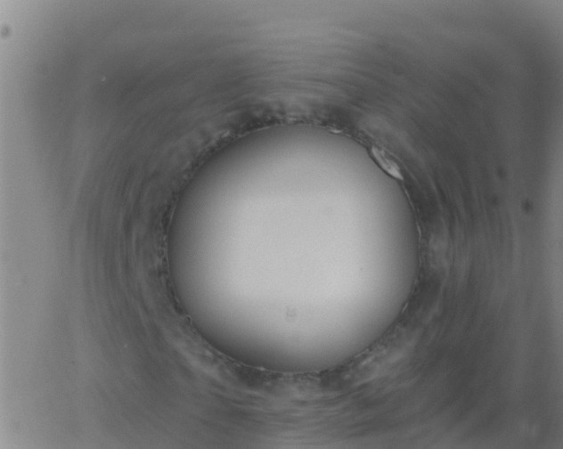 X0000063530865200601271858