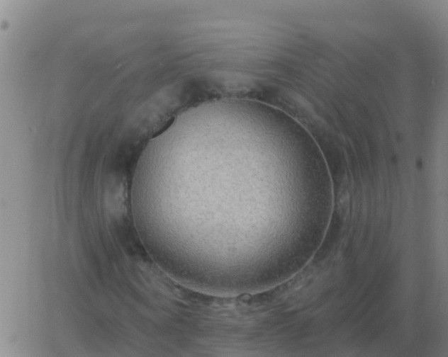 X0000063530866200601271858