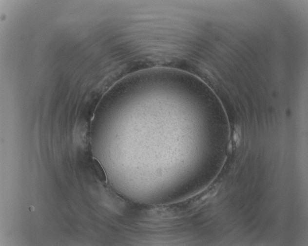 X0000063530867200601271858