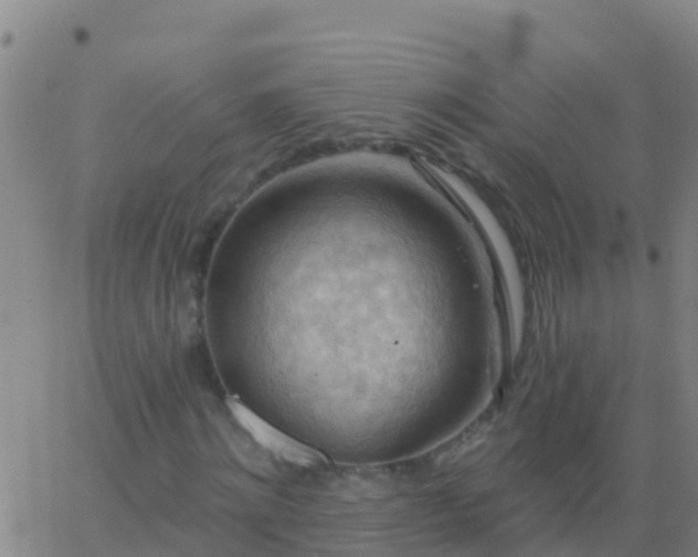 X0000063530868200601271858