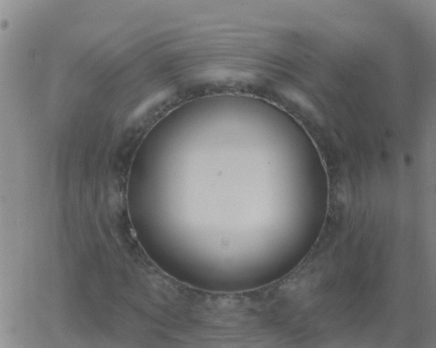 X0000063530869200601271858