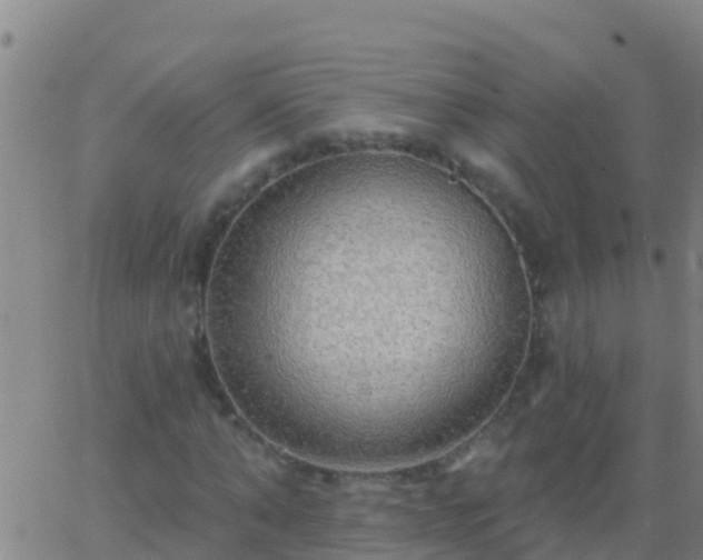 X0000063530870200601271858