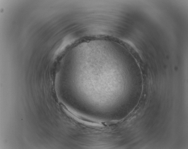 X0000063530871200601271858