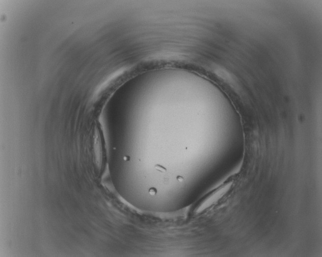 X0000063530872200601271858