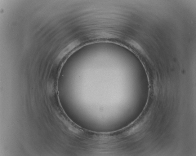 X0000063530873200601271858