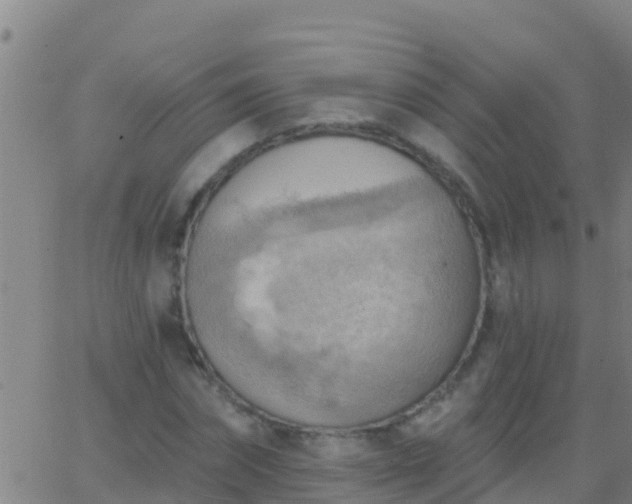 X0000063530874200601271858