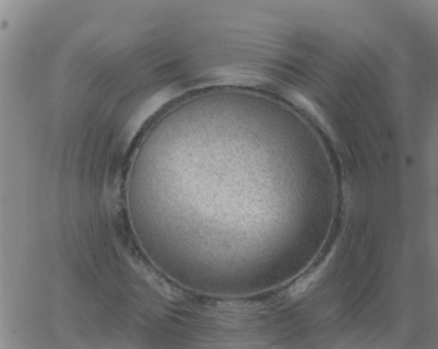 X0000063530875200601271858