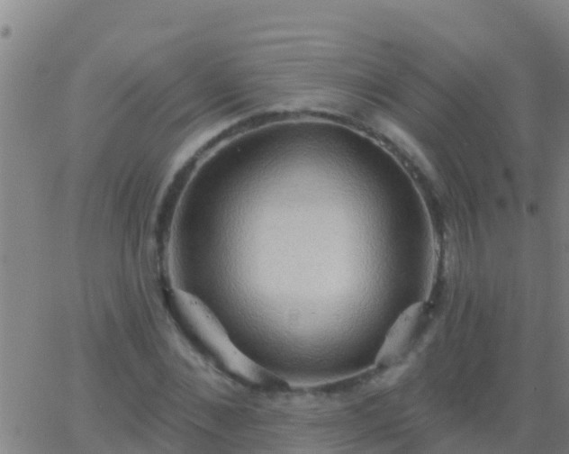 X0000063530876200601271858