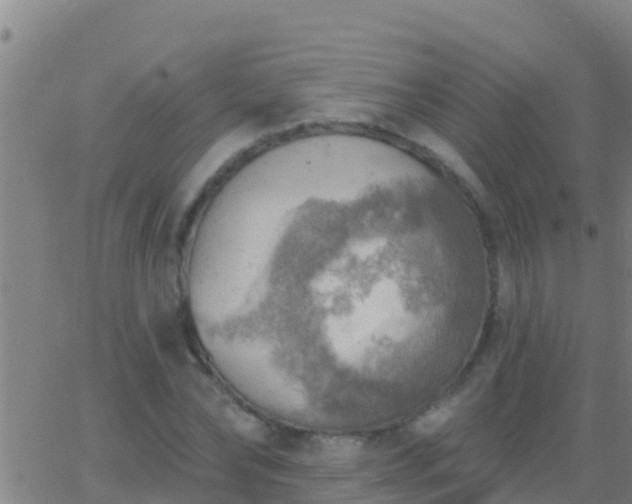 X0000063530878200601271858