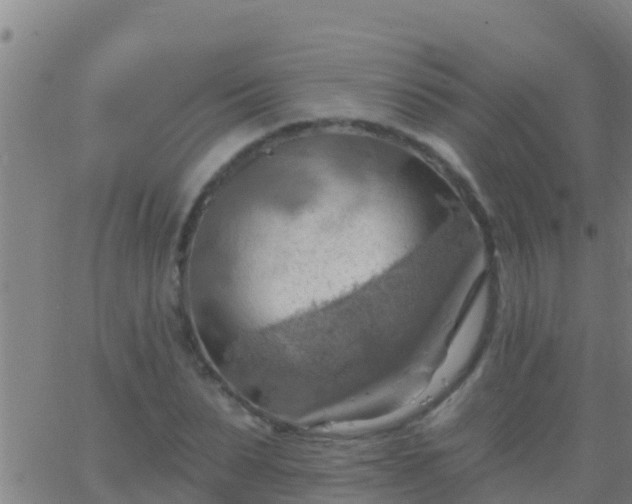 X0000063530879200601271858