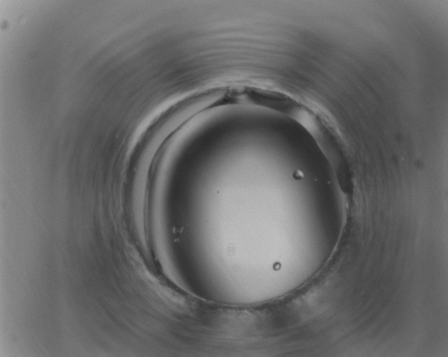 X0000063530880200601271858