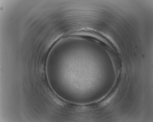 X0000063530881200601271858