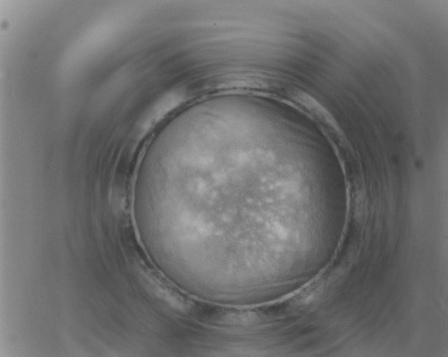 X0000063530882200601271858