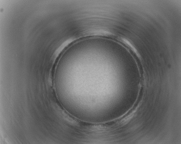 X0000063530883200601271858