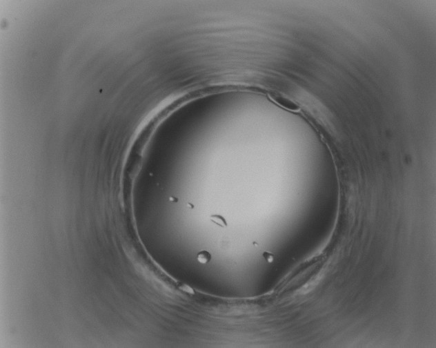 X0000063530884200601271858