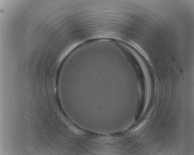 X0000063530885200601271858