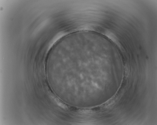 X0000063530886200601271858