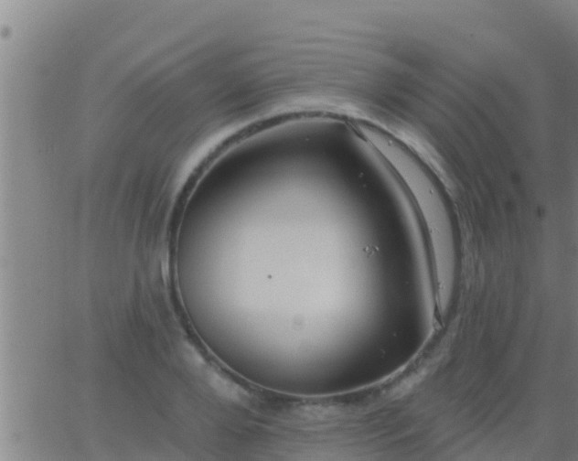 X0000063530888200601271858