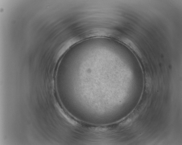 X0000063530890200601271858