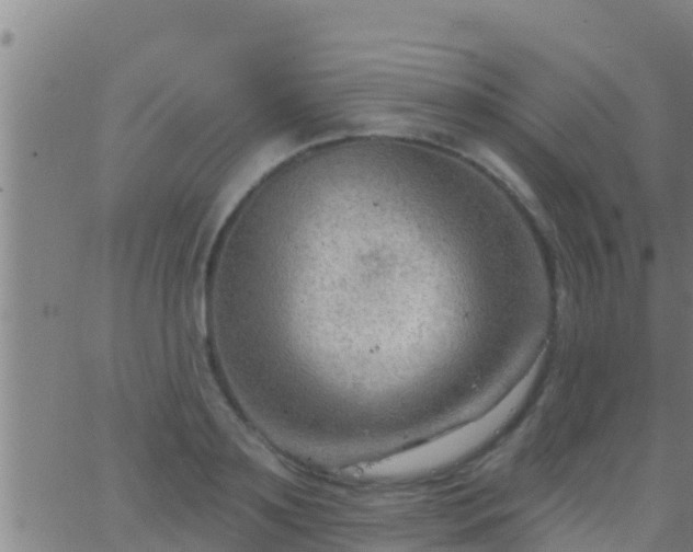 X0000063530891200601271858