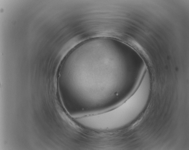 X0000063530892200601271858