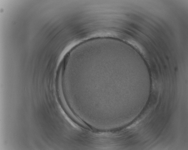 X0000063530894200601271858