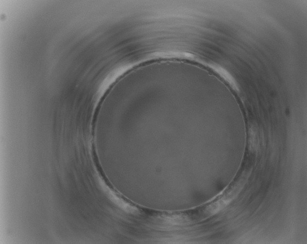 X0000063530895200601271858